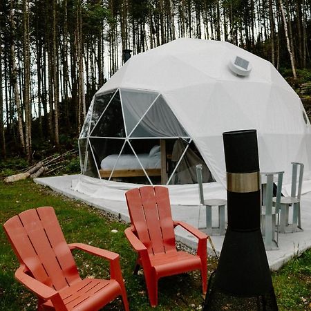 Ferienwohnung Les Diamants De L'Eternel Saint-David-de-Falardeau Exterior foto