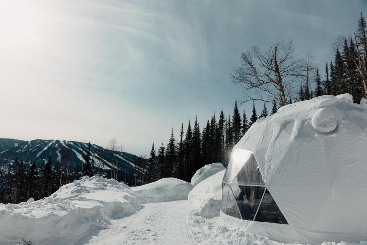 Ferienwohnung Les Diamants De L'Eternel Saint-David-de-Falardeau Exterior foto