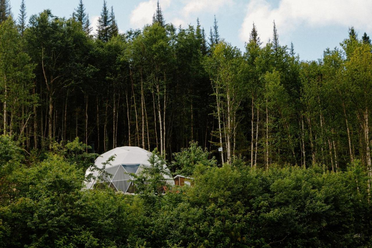 Ferienwohnung Les Diamants De L'Eternel Saint-David-de-Falardeau Exterior foto